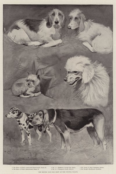 De Kennel Club Hondenshow in het Crystal Palace door Cecil Charles Windsor Aldin